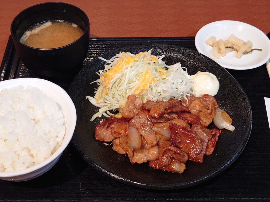 羽生PA下り線の生姜焼き御膳