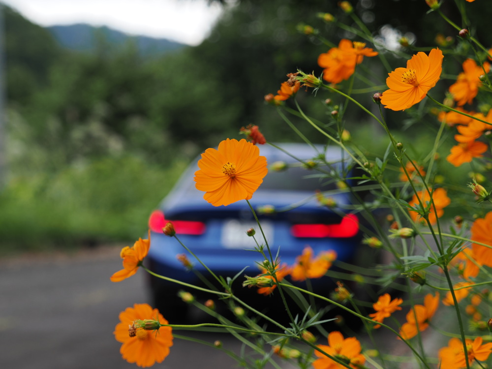 BMW G20 M340i