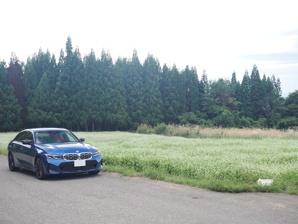 BMW G20 M340iと蕎麦の花