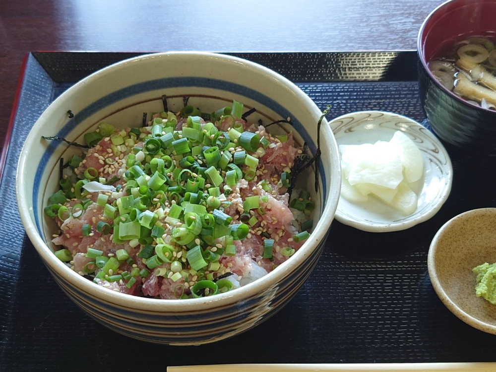 道の駅からむし織りの里しょうわ　ネギトロ丼