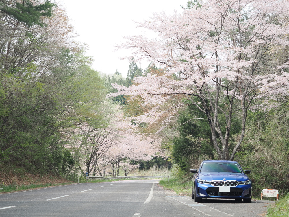桜の木の下に停車するBMW M340i