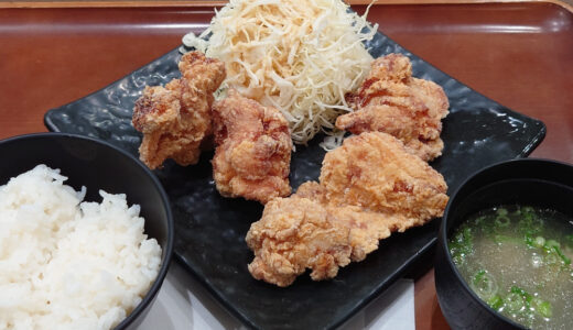 から揚げ定食【蓮田SA上り線】