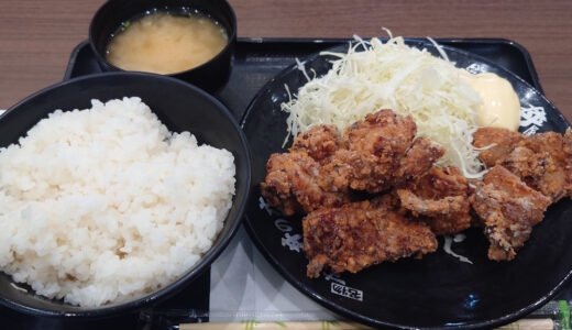 すたみな唐揚げ定食【蓮田SA上り線】