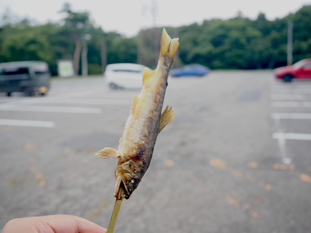 あゆ塩焼き