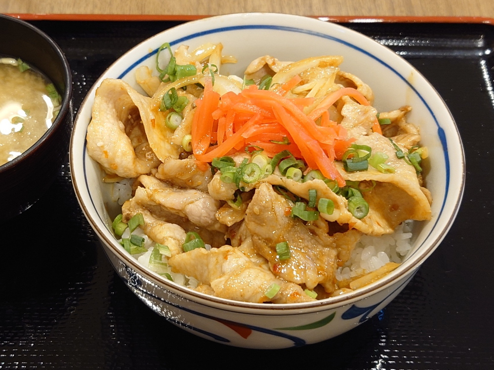 越後米豚こしおうの焼き肉丼　関越自動車道　塩沢石打SA上り線
